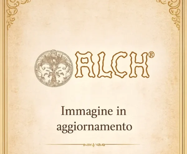 In attesa dell'immagine del prodotto