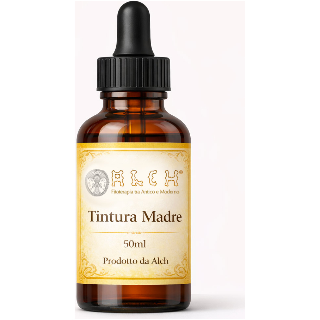 UVA URSINA Tintura Madre